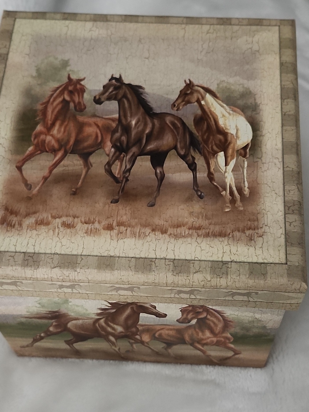 Jewelry Box- Decorative "Wild Horses"  - Beige - Picture 5 of 6